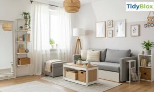 Small apartment living room ideas cheap with budget-friendly furniture, storage, mirror, shelves and smart layout